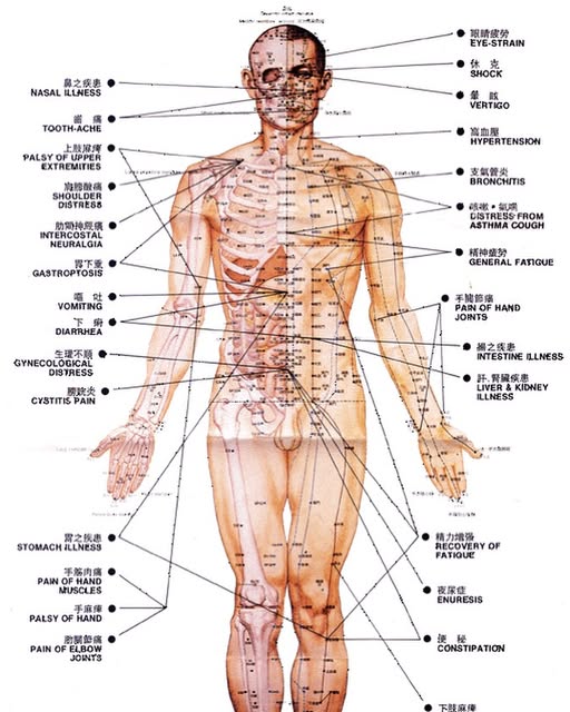 Historical acupuncture meridian chart with annotations