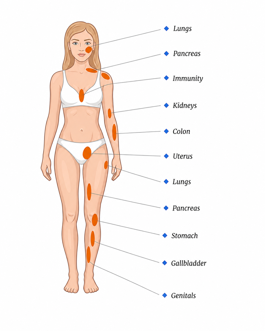 Illustration of acupuncture points and internal organ projections on the body